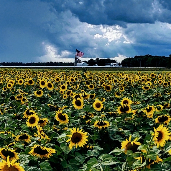 Meet your Posher, Alison - Picture 2 of 2